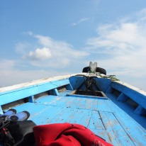 Schnorchelausflug zum Riff von Menjangan