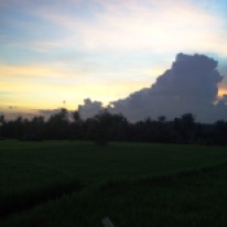 Relaxen und den Sonnenuntergang inmitten der Reisfelder genießen